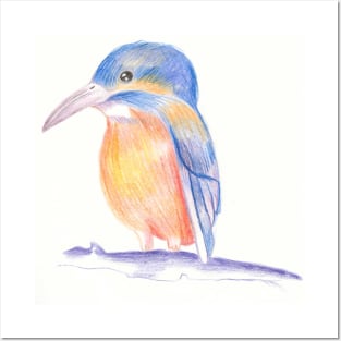 Colour pencil Bird Posters and Art